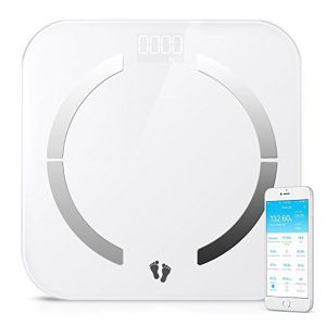 Healthfun Smart Bluetooth Body Scale, 13 Body Data 